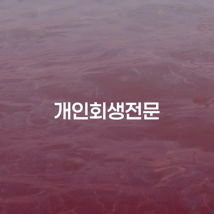 개인회생미납 개인회생으로 해결방법 신속하게