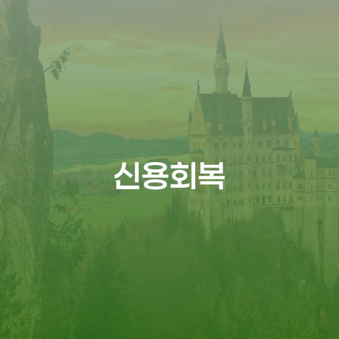 기대출추가대출 연체 시 빚 합법적인 빠른방법 추천하는 변호사