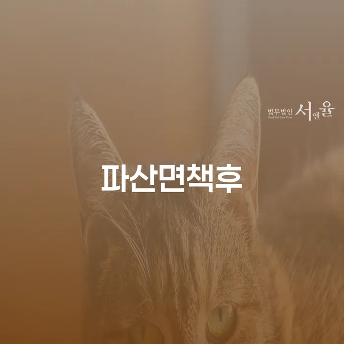 도산전문변호사 개인회생,개인파산으로 상담으로 확인하고