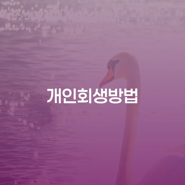 개인파산절차 빚갚는 방법 희망으로