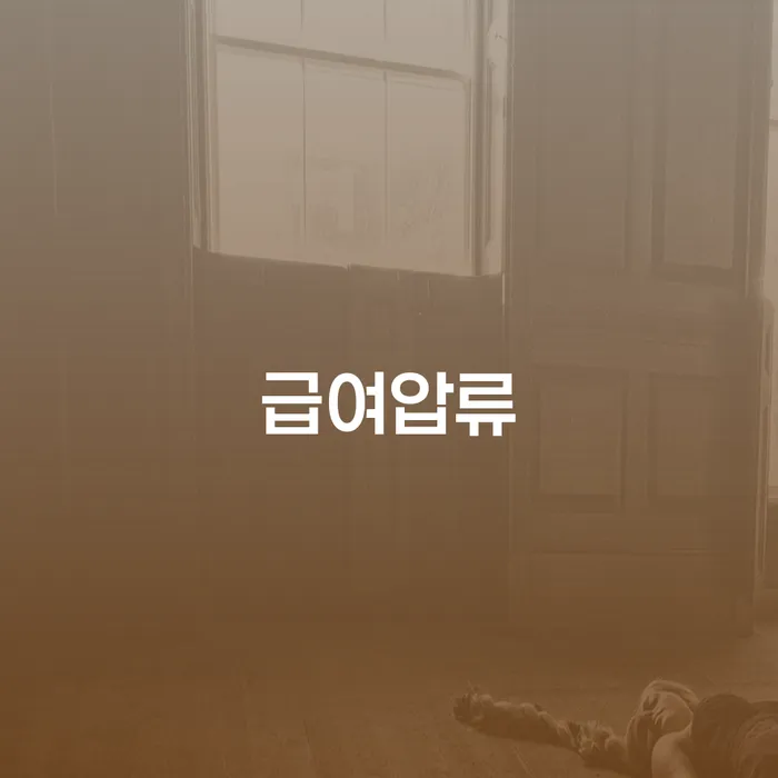 개인회생사무소 채무 효과적인 해결방법 면담후에