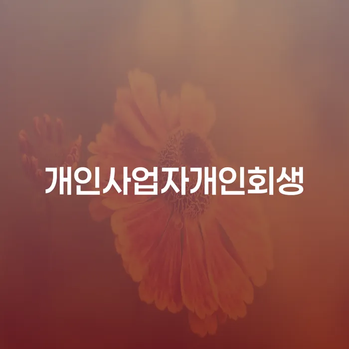 안동시 개인회생면책신청 개인회생으로 해결방법 있다면