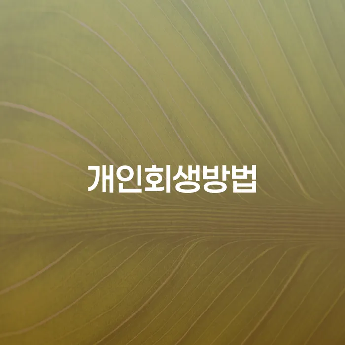 제천시 회생파산 개인회생 어떤걸