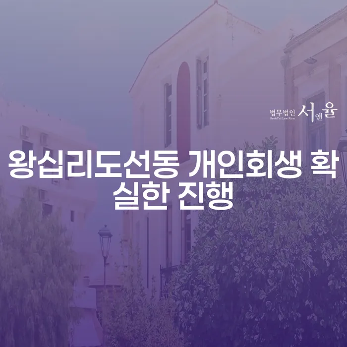 왕십리도선동 개인회생 확실한 진행