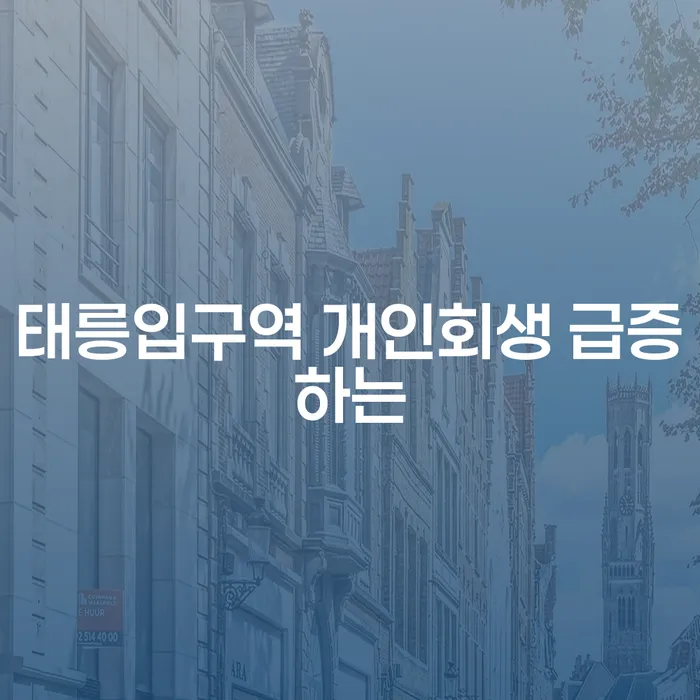 태릉입구역 개인회생 급증하는