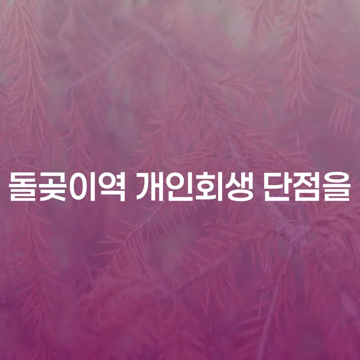 돌곶이역 개인회생 단점을