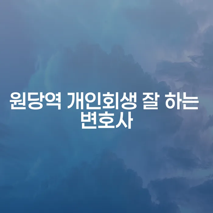 원당역 개인회생 잘 하는 변호사