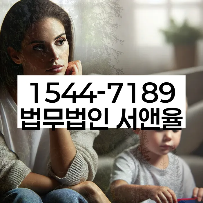 개인회생 재산 분할