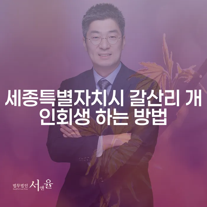 세종특별자치시 갈산리에서 개인회생을 시작하는 방법은 무엇일까요?
