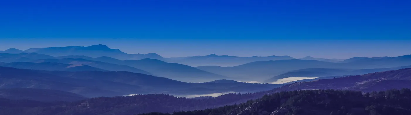 법무법인 서앤율